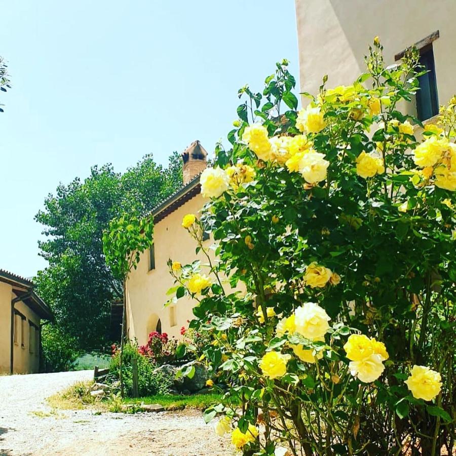 Agriturismo Il Covo Del Solengo Villa Valtopina Exterior photo